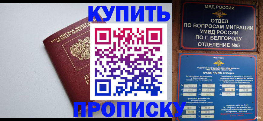 прописка регистрация в Лузе